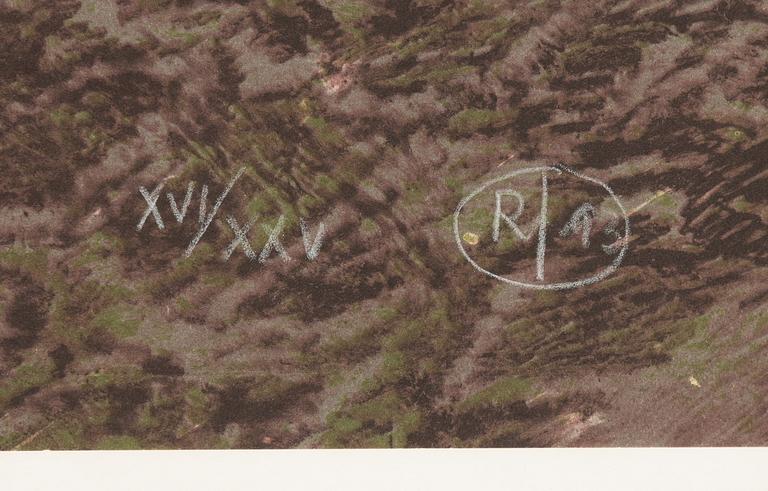 Roj Friberg, färglitografi, monogramsignerad, numrerad XVI/XXV och daterad -93.