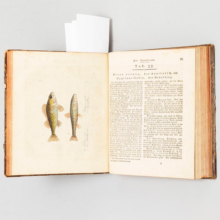 BOOK, with hand coloured dry needle engravings.