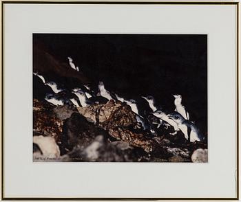 SVEN GILLSÄTER, fotografier, tre stycken. Signerade och daterade.