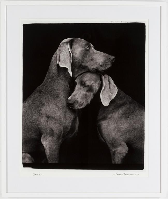 WILLIAM WEGMAN, fotografi, signerat och daterat -09.