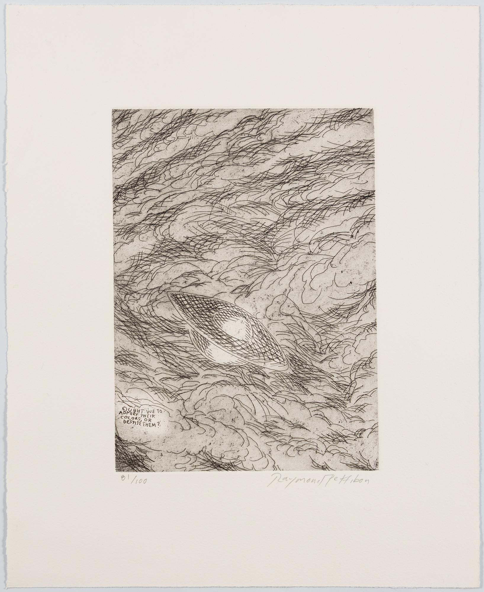 Raymond Pettibon, Untitled (Ought We To Admire Their Colours, Or Despise Them).