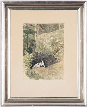 Harald Wiberg, Smooth Fox Terrier going to ground.