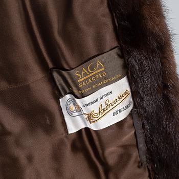 MINKPÄLS, Saga mink.