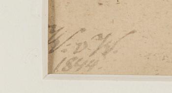 Wilhelm von Wright, Common Buzzard.