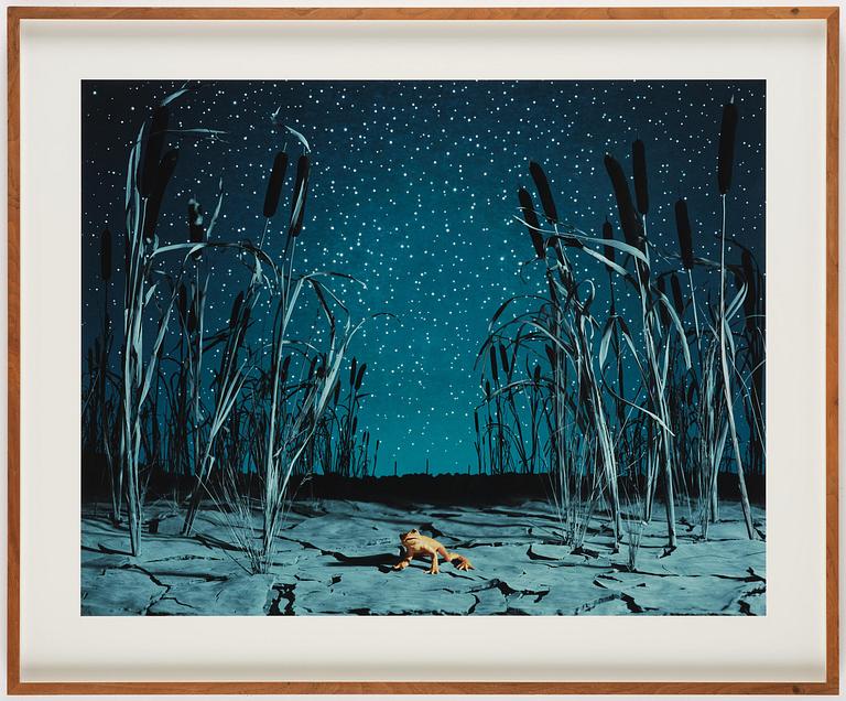 Helena Blomqvist, "Last Night for the Last Golden Frog", 2008.