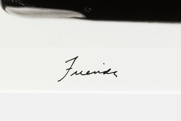 William Wegman, "Friends".