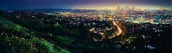 361. David Drebin, "Los Angeles", 2008.