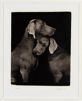 William Wegman,  archival pigment print, 2009, signed. From the ed of 1500.