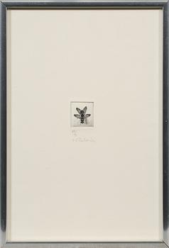 GRAFISKA BLAD, 10 st, mestadels IX-gruppen, signerade, mestadels numrerade 85/90 och daterade -74.