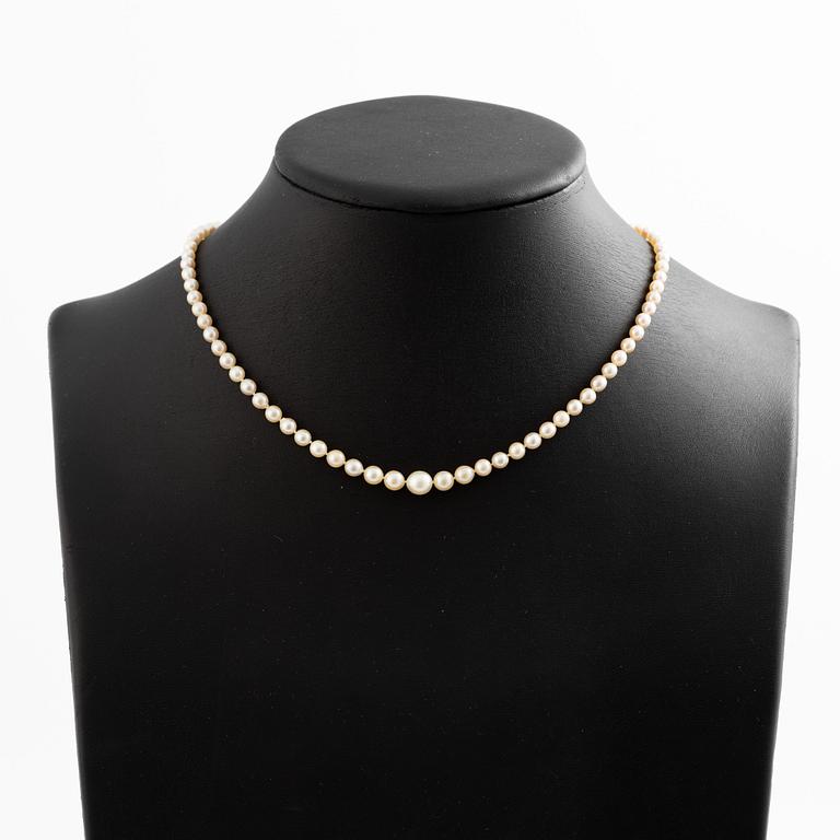 Collier odlade pärlor lås silver med paste.