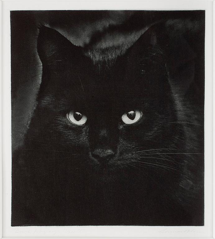 LENNART OLSON, Fotogravyr, sign o numr 27/200, 1982.