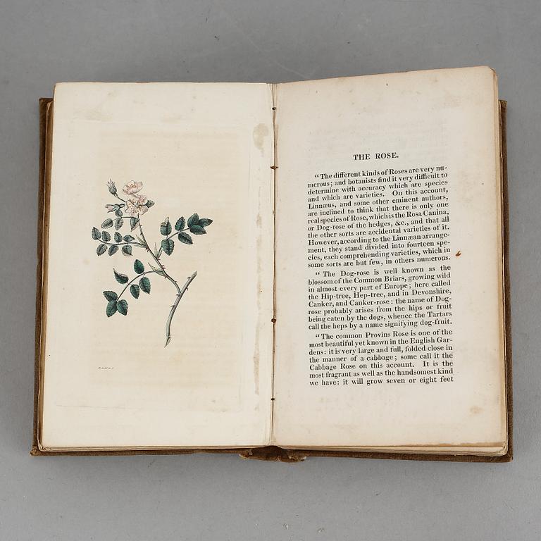 WILLCOCKS, Flora Poetica or Poetry on Flowers, London 1835.