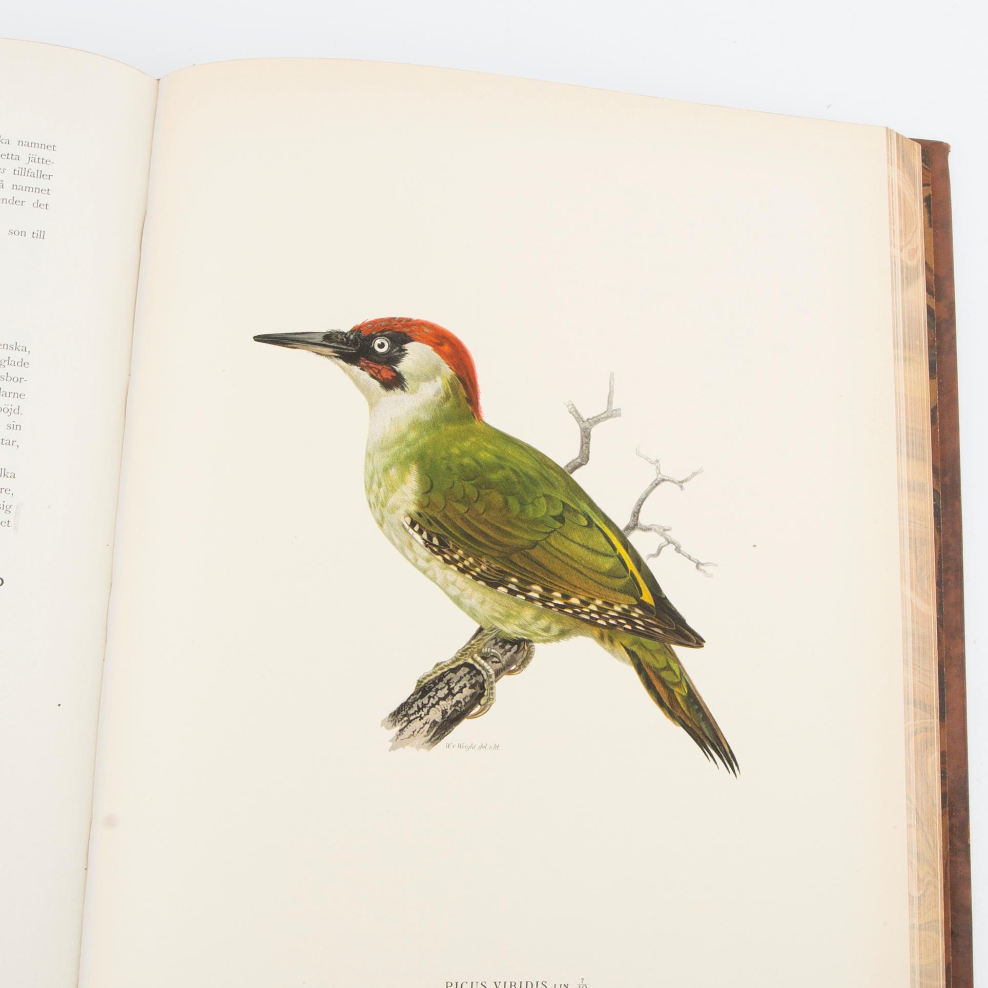 The von Wright Brothers, book works, 3 volumes, "Swedish Birds", A. Börtzells Printing Co. Ltd., Stockholm, 1924-1929.