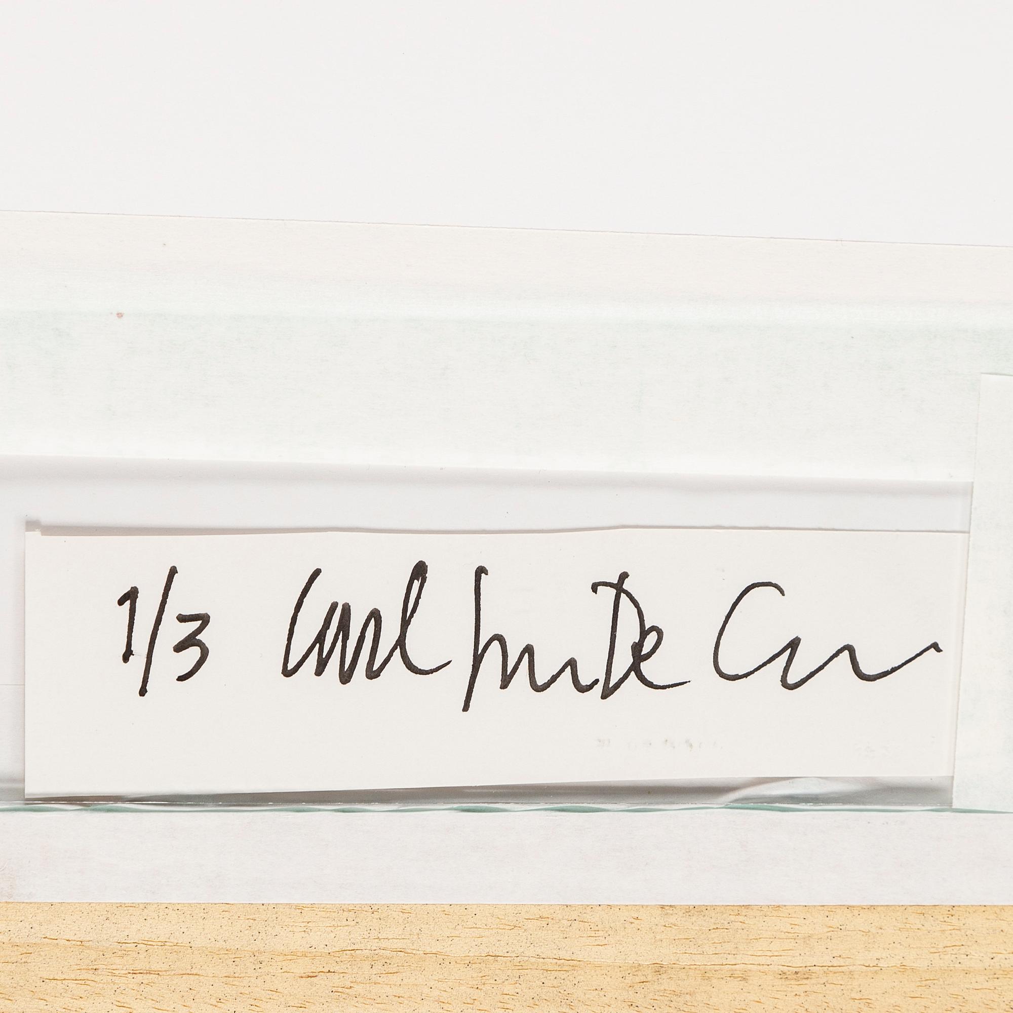 CARL JOHAN DE GEER, photograph signed and numbered 1/3 on the back of the frame.