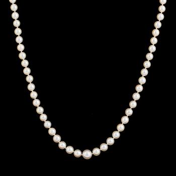 A necklace of cultured pearls with an 18K gold clasp.