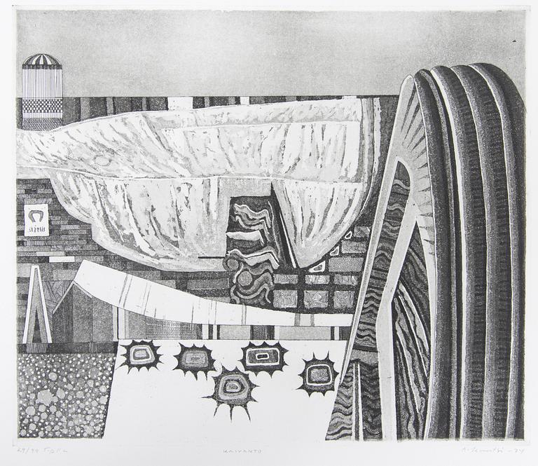 Taidegraafikot Kannatusjäsensalkku XII.