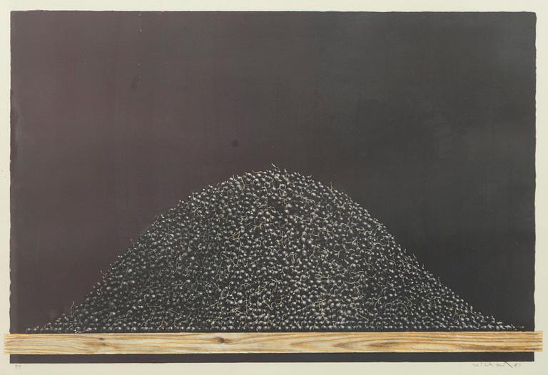Philip von Schantz, "Svart".