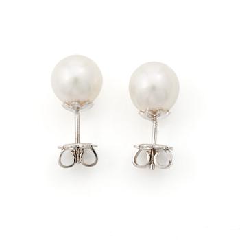 Earrings in 18K white gold with cultured freshwater pearls.