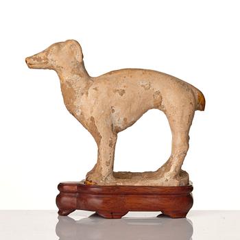 A pottery figure of a dog, Tang dynasty (618-907).