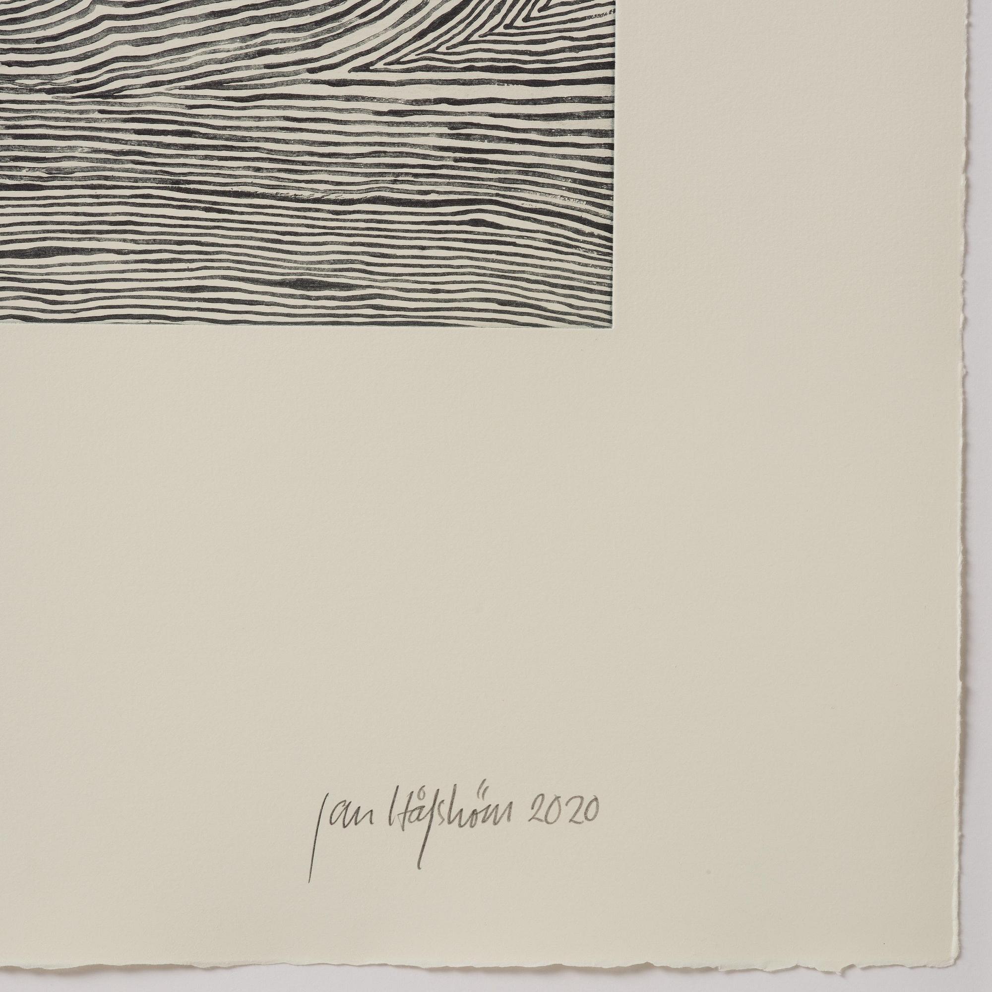 Jan Håfström, "Blue Skull".