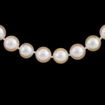 Cultured pearl necklace.