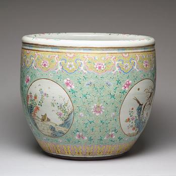 A massive famille rose fish basin, Qing dynasty, 19th Century.