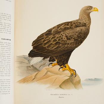 BOKVERK, 3 volymer, "Svenska fåglar", MW. & F. von Wright, Stockholm, andra upplagan 1927-1929.