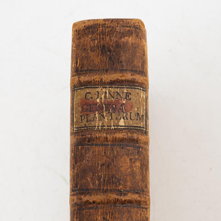 Genera plantarum, 1764.