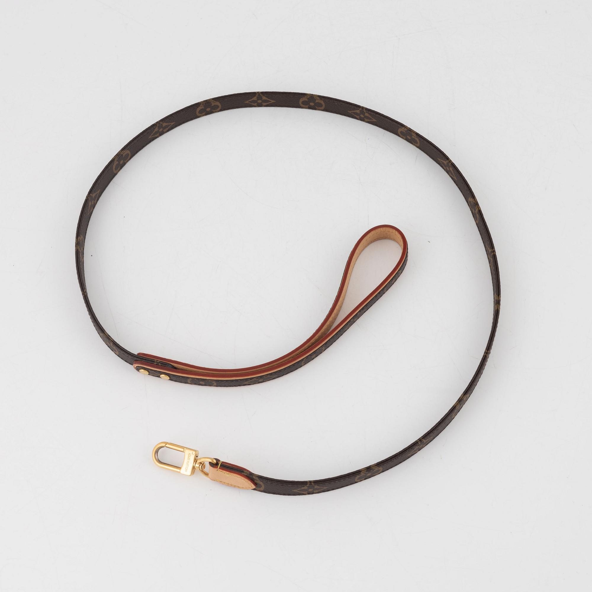 Louis Vuitton, dog leash.
