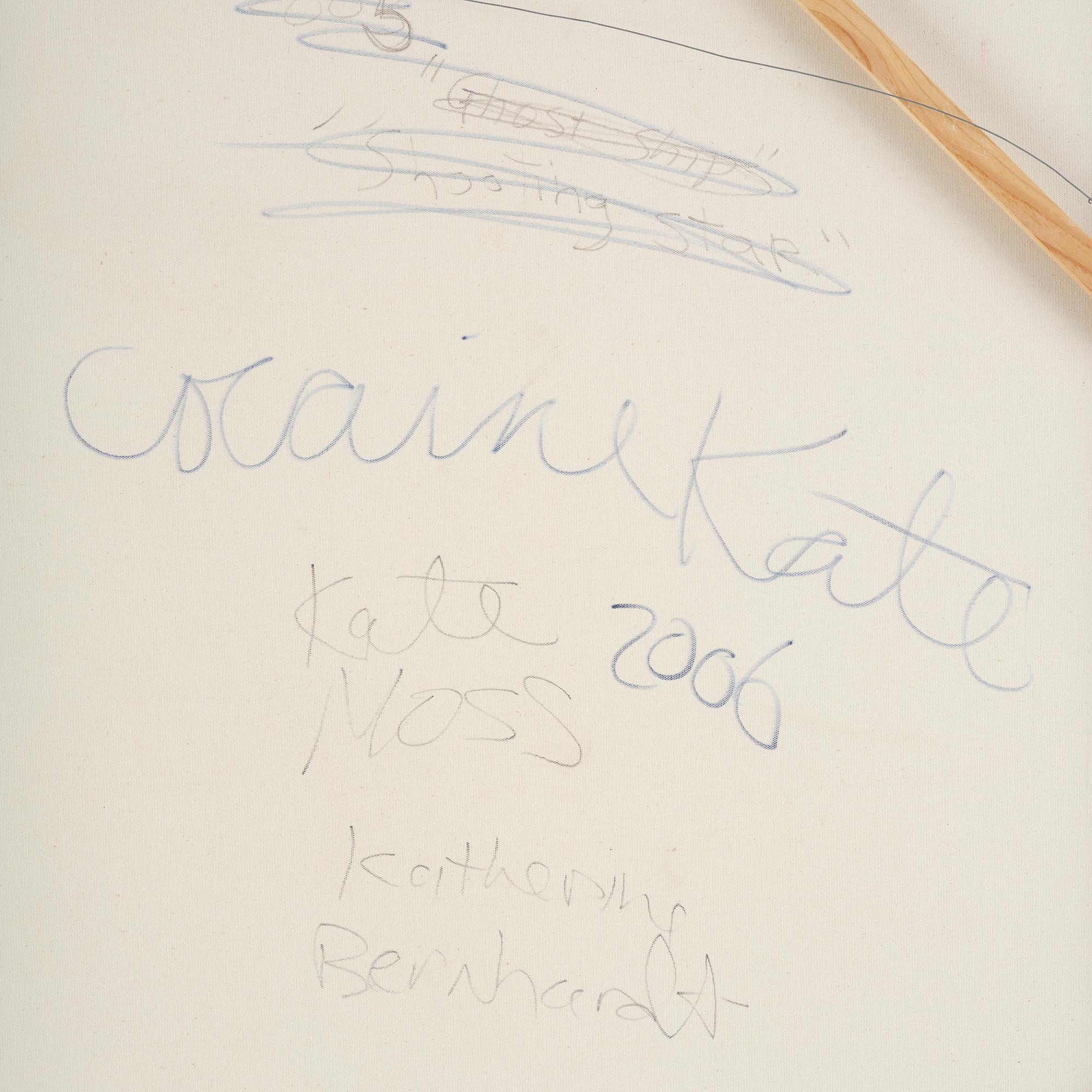 Katherine Bernhardt, "Cocaine Kate".