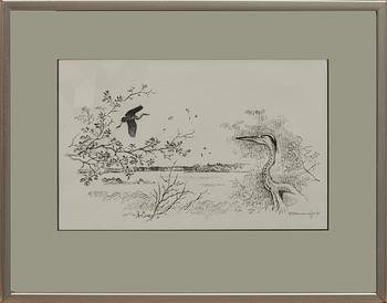 GUNNAR BRUSEWITZ, tuschteckning, signerad och daterad -85.