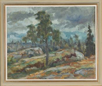 Kaapo Wirtanen, Landskap.