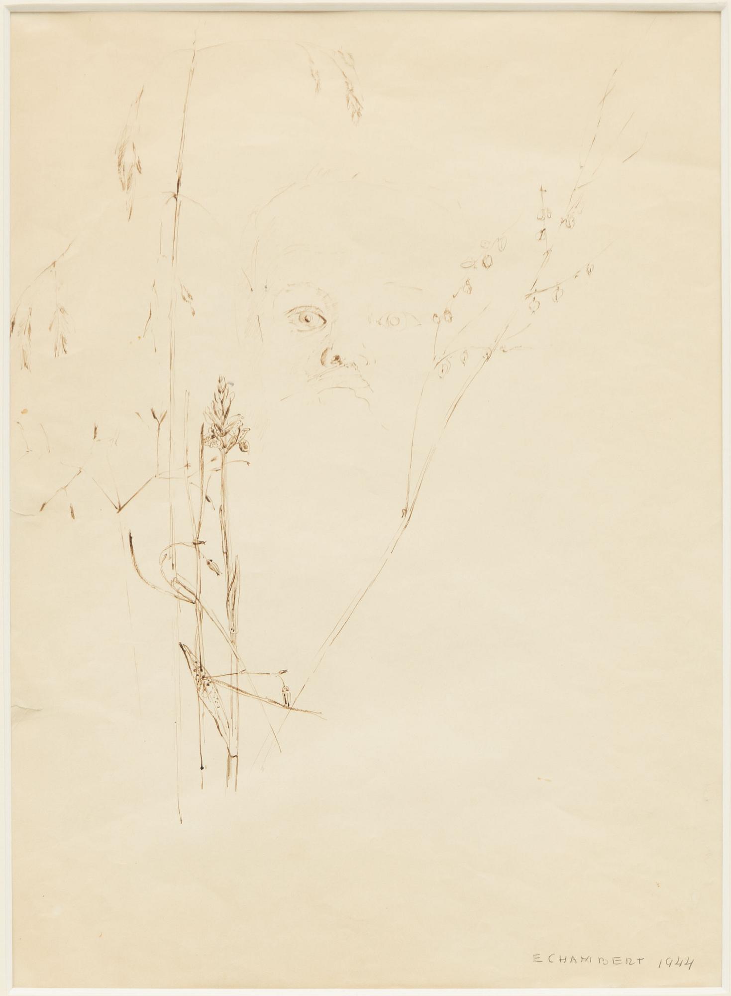 Erik Chambert, "Gräs II", Plant Study, 2 pcs.
