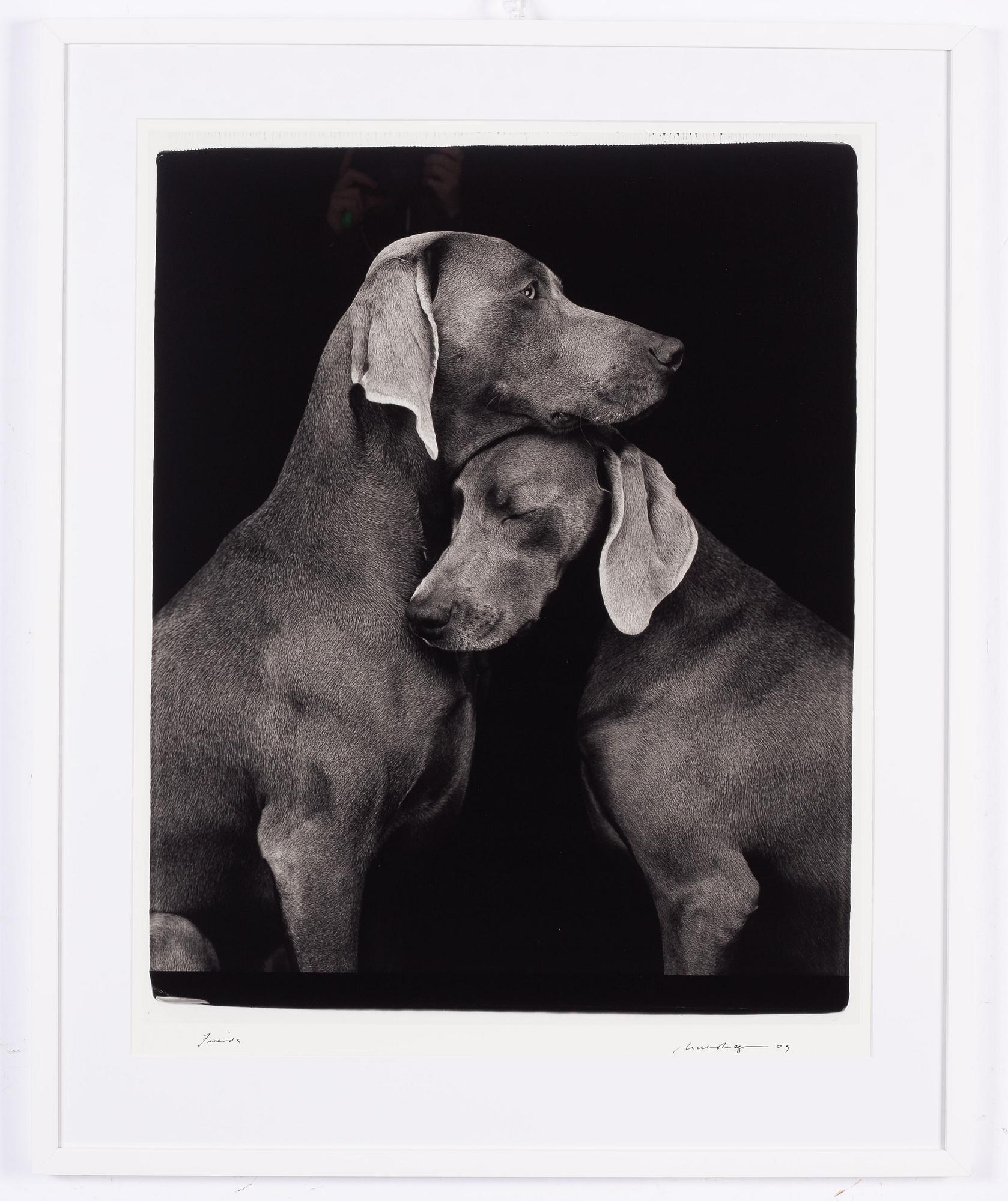 William Wegman, "Friends".