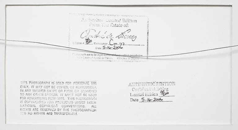ANDRÉ DE DIENES, silvergelatinfotografi, stämpelsign á tergo, numr 161/200 samt dat 05-16-2006.