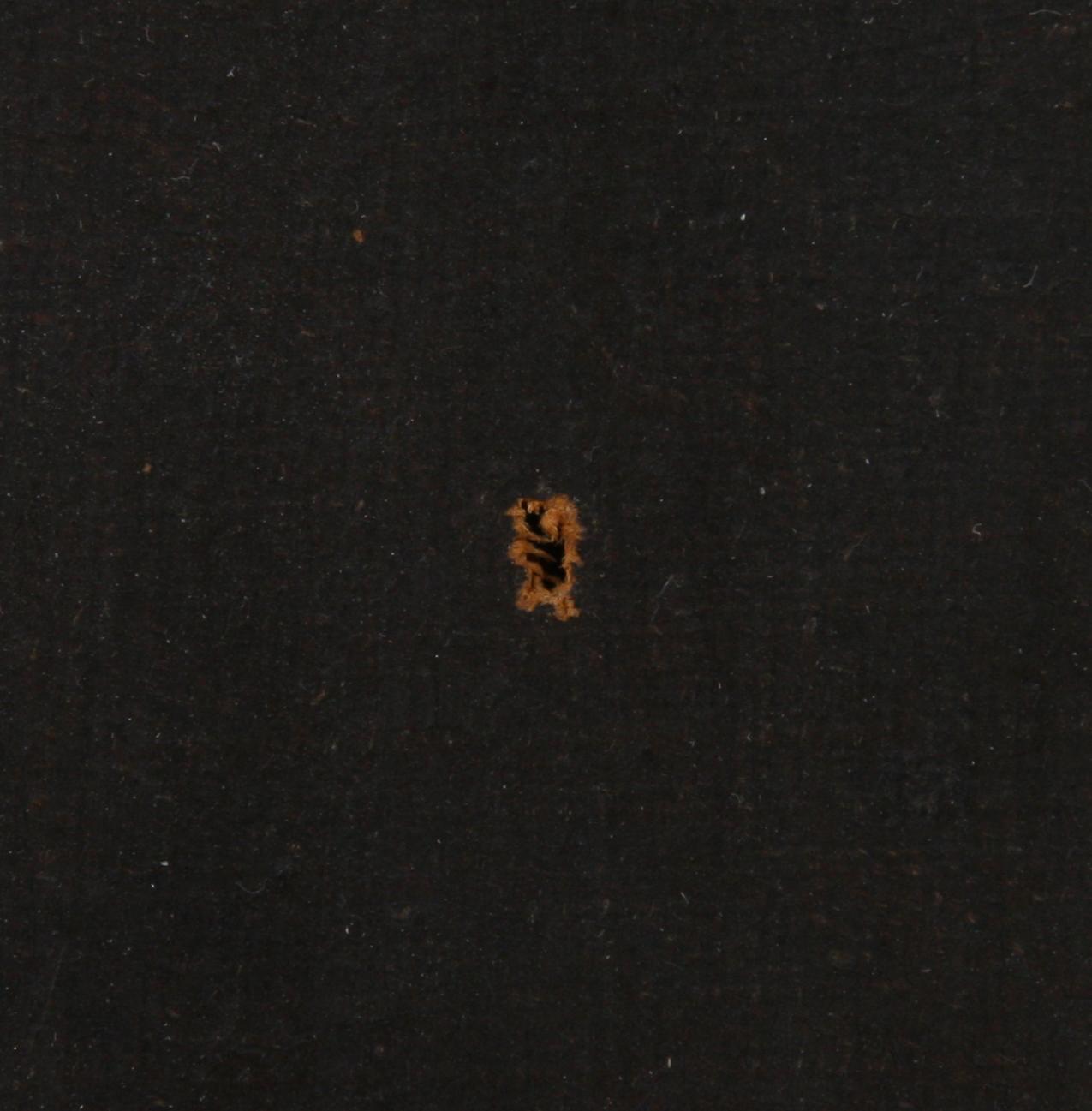 OKÄND KONSTNÄR, olja på duk, 1700/1800-tal.