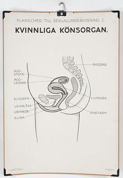 SKOLPLANSCHER, 4 st, 1900-talets mitt.