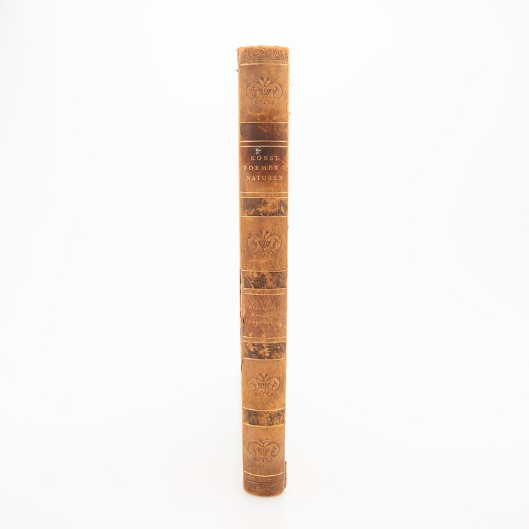 Book, "Art Forms in Nature", Karl Blossfeldt, Spamersche Buchdruckerei, Leipzig, 1930.