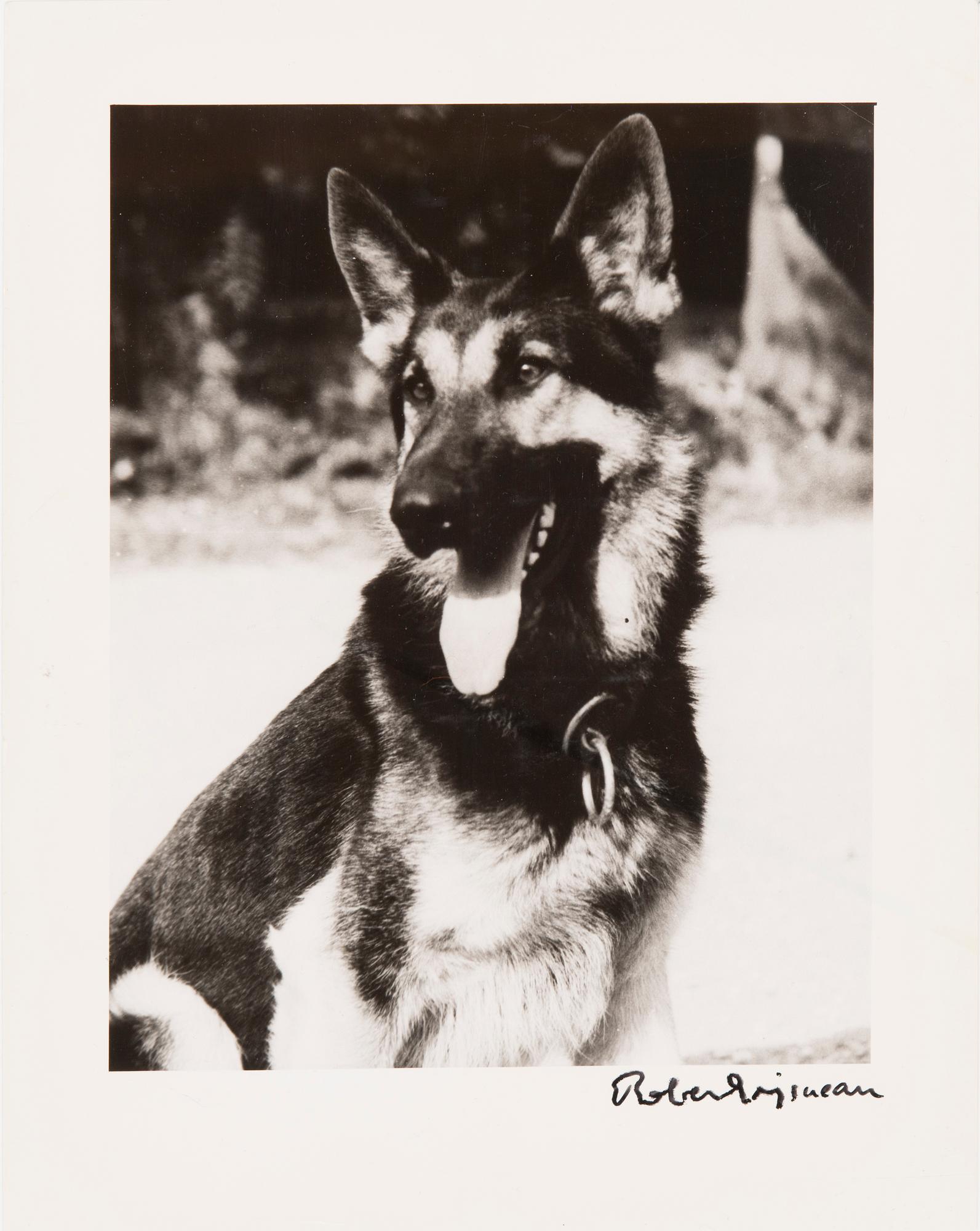 ROBERT DOISNEAU, gelatin silver print, signed. Numbered a tergo.