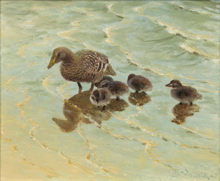 Thure Wallner, Mallard with ducklings at the water's edge.