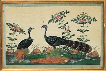 Rispappersmålningar, 9 stycken. Qingdynastin, 1800-tal.