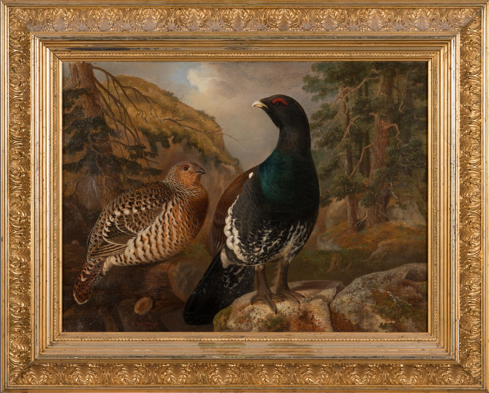 Magnus von Wright, "Tjädrar vid ravin".