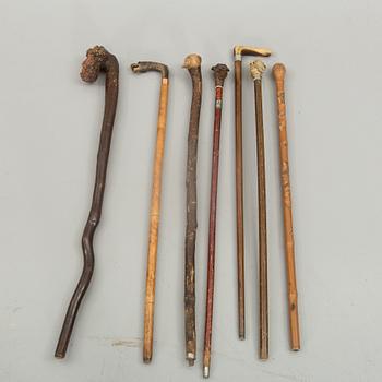 SEVEN WALKING STICKS.