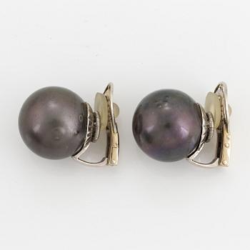 Cultured Tahiti pearl earrings.