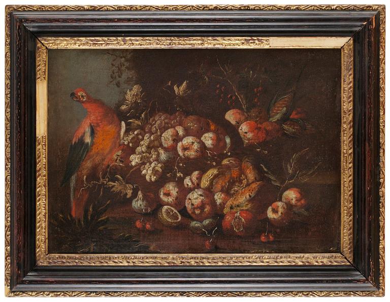 Giovanni Paolo Castelli ("Spadino") Hans art, Stilleben med papegoja och frukter.