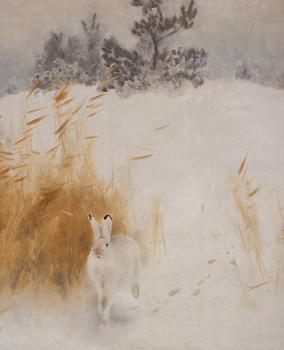 Bruno Liljefors, Winter landscape with hare.