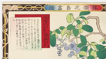Kōno Bairei,