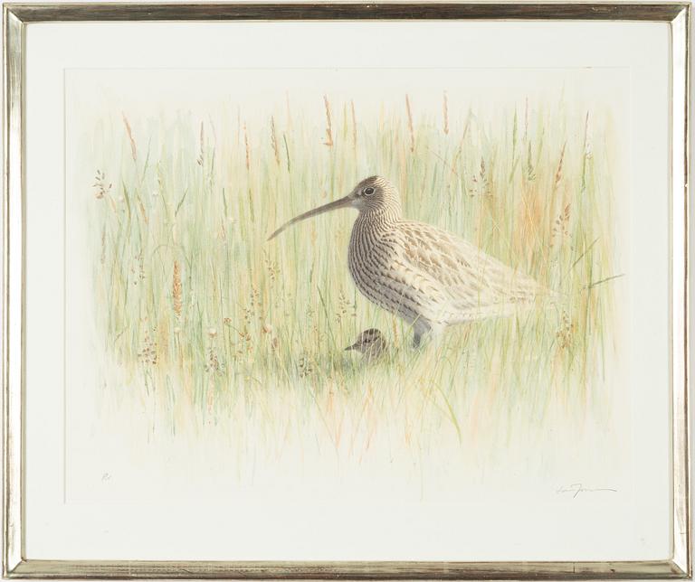 Lars Jonsson, Bird with Young.