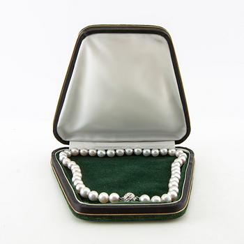 Necklace, 18K white gold and brilliant-cut diamonds and saltwater pearls.