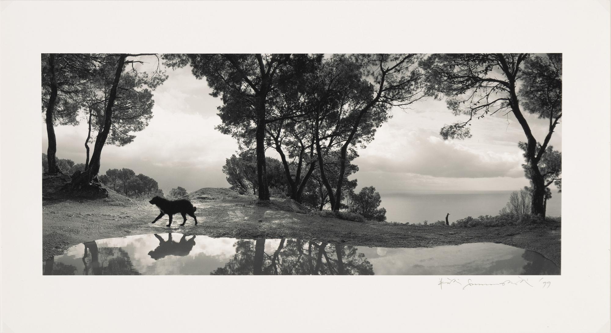 Pentti Sammallahti, "Cilento, Italia, 1999".
